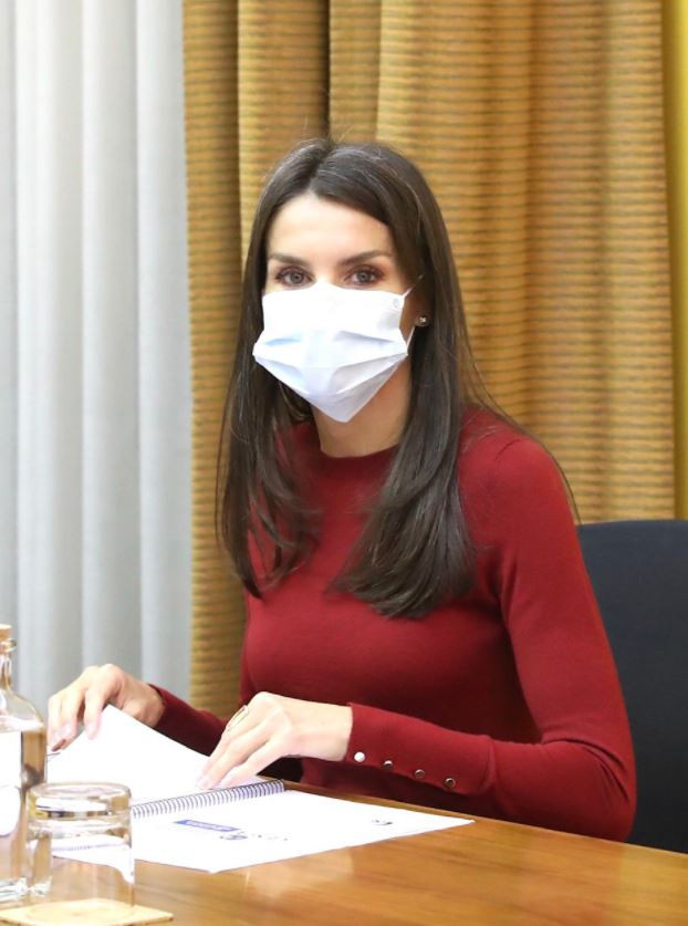La Reina Letizia durante su reunión de trabajo convocada con representantes del Real Patronato sobre Discapacidad, en Madrid, (España), a 10 de noviembre de 2020. ?El encuentro se centra en el estado de los proyectos en marcha y los planes de futuro de es