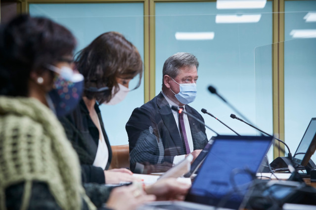 Comparecencia del consejero de Cultura y Política Lingüística, Bingen Zupiria, ante la Comisión de Cultura, Euskera y Deporte del Parlamento Vasco