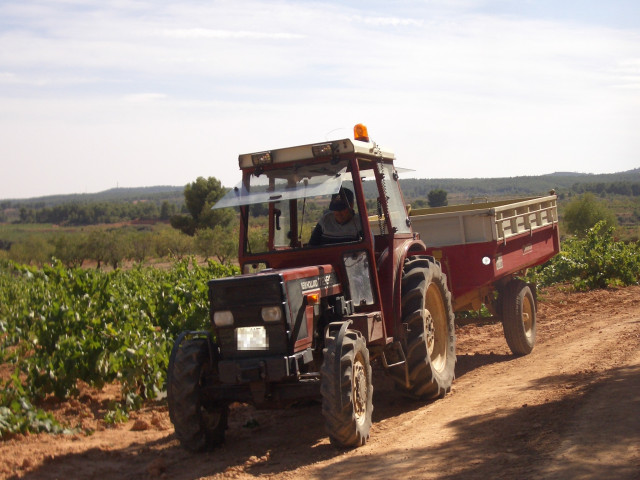 Tractor en una recogida de uva.