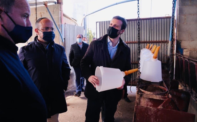 El presidente del PP catalán, Alejandro Fernández, y el líder del PP, Pablo Casado, en una visita el 20 de noviembre de 2020 a Lleida.