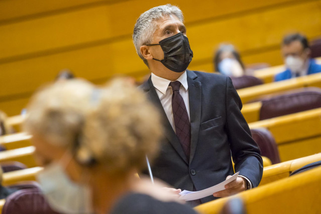 El ministro del Interior, Fernando Grande-Marlaska, interviene durante una sesión de control al Gobierno en el Senado.
