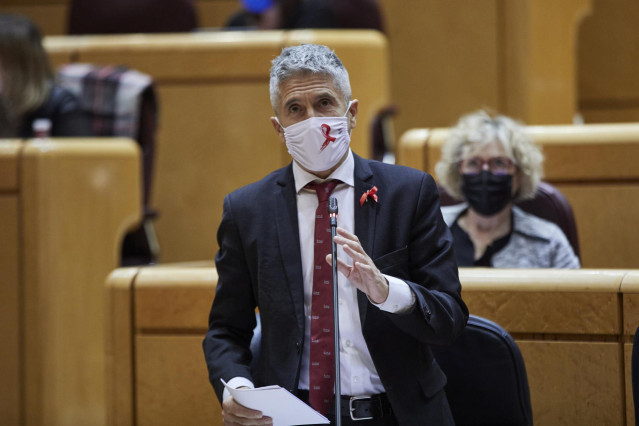 El ministro del Interior, Fernando Grande-Marlaska, interviene durante una sesión de control al Gobierno en el Senado, en Madrid (España), a 1 de diciembre de 2020. Se trata de la última sesión de control al Ejecutivo del año y, a pesar de no contar con e