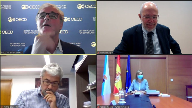 Captura de la reunión celebrada de forma telemática.