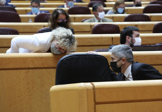 El ministro del Interior, Fernando Grande-Marlaska, habla con una senadora durante una sesión de control al Gobierno en el Senado, en Madrid (España), a 3 de noviembre de 2020. Durante el pleno de hoy, el Ejecutivo ha respondido a cuestiones relacionadas,