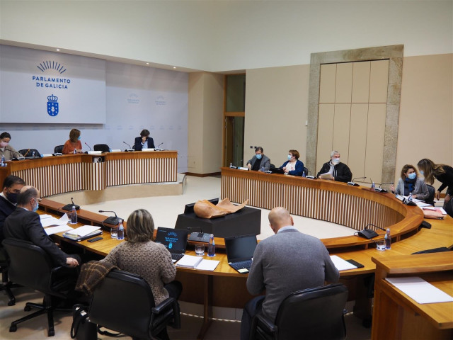 Comisión de Sanidade, Política Social e Emprego el 3 de diciembre de 2020