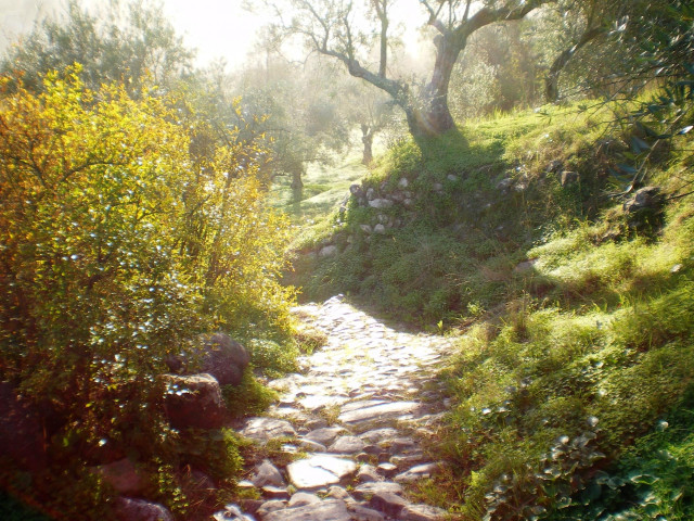 Gran Senda Málaga.