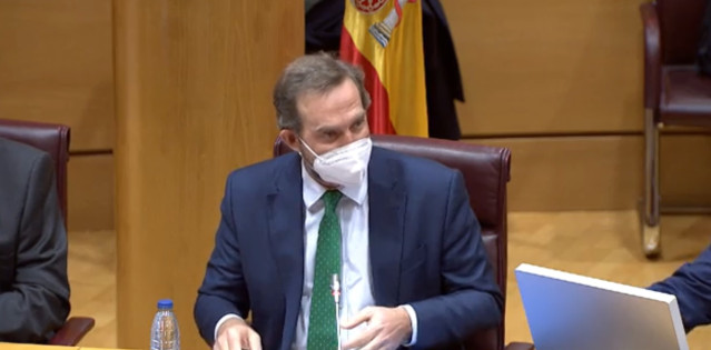 El secretario de Estado de Turismo, Fernando Valdés, durante su intervención en el Senado.