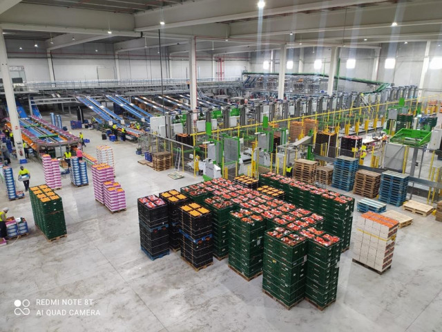 The Natural Fruit Company