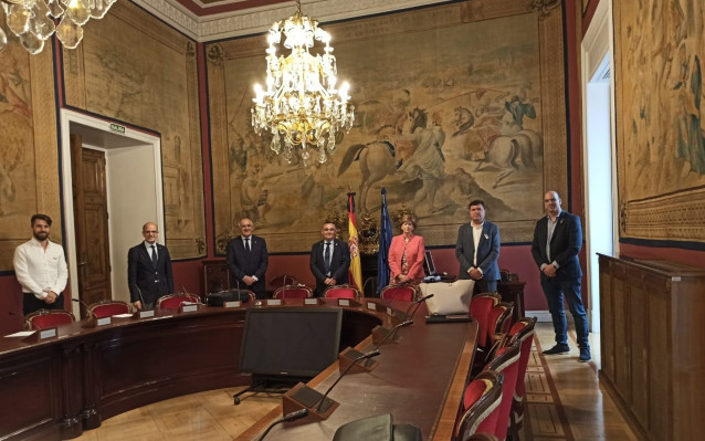 Grupo Mixto en el Senado
