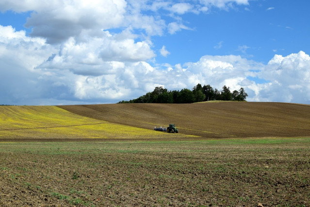 Campos de agricultura