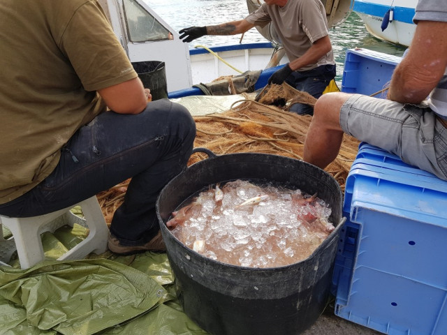 Pesca