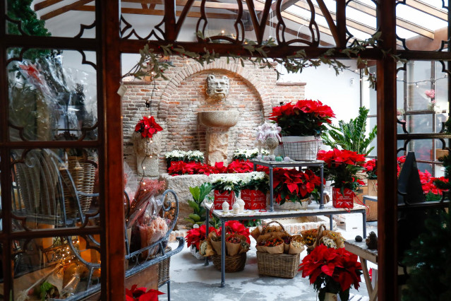 Flores y plantas de Navidad en la floristería ‘El Ángel del Jardín, en Madrid, (España).