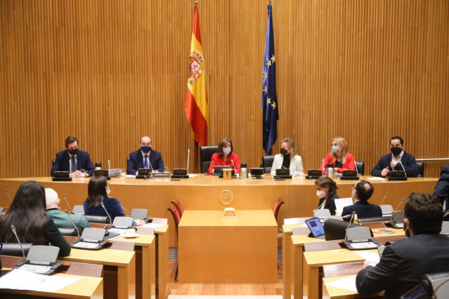 El directo de Poilicía, Francisco pardo, compareciendo en el Congreso