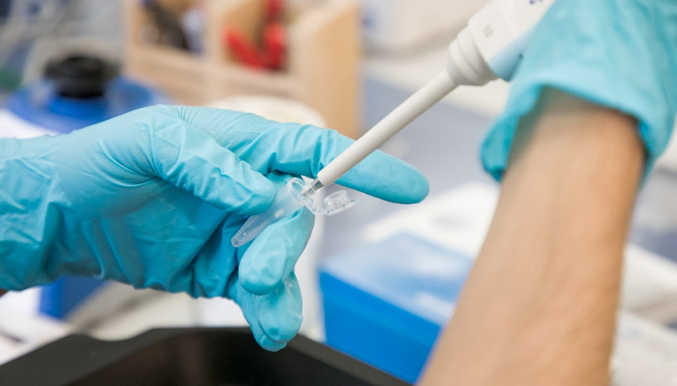 Análisis de una prueba PCR