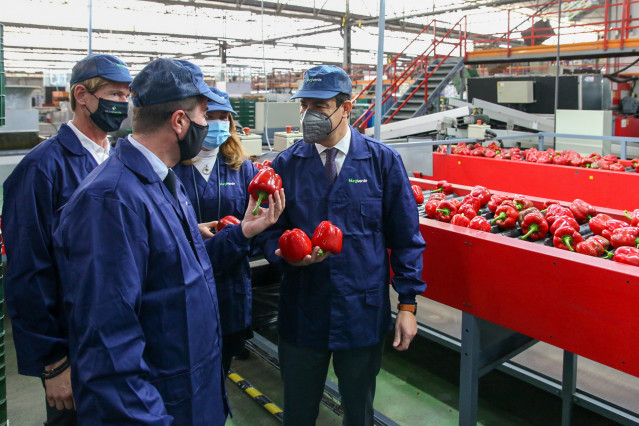 El presidente de la Junta, Juanma Moreno (c), durante la  visita a la planta de envasado de la cooperativa hortofrutícola Murgiverde. El Ejido