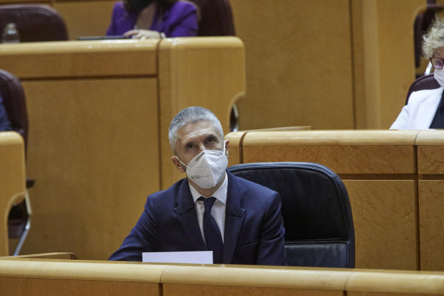 El ministro de Interior, Fernando Grande-Marlaska, en el Senado