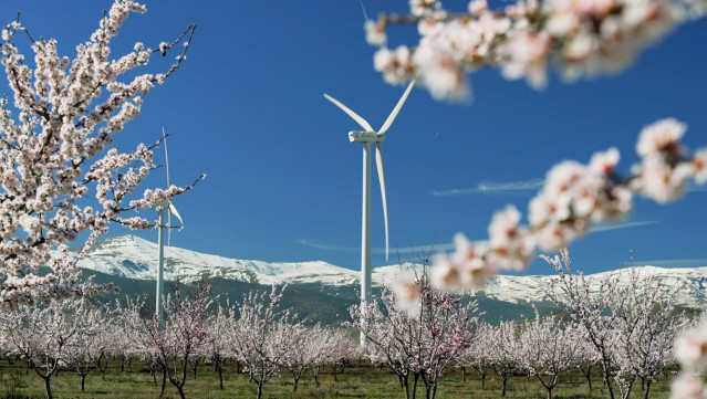 Iberdrola inicia la construcción de un conjunto eólico de 79 MW entre Málaga y Sevilla