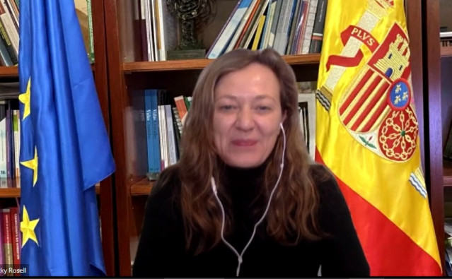 La delegada del Gobierno contra la Violencia de Género, María Victoria Rosell, interviene en la jornada online organizada por CCOO C-LM.
