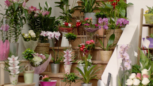 Flores de Lidl