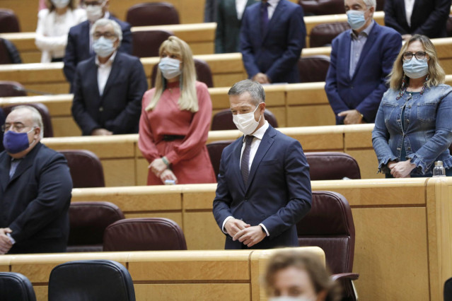 Archivo - El portavoz del Grupo Socialista en el Senado, Ander Gil (c), guarda un minuto de silencio al inicio de una sesión de control al Gobierno en el Senado, a 20 de octubre de 2020. En el pleno de hoy el Ejecutivo será preguntado, entre otras, por cu