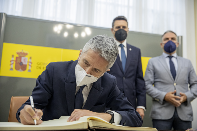 El ministro del Interior, Fernando Grande-Marlaska, en su visita reciente a Sevilla para el dispositivo de seguridad de la Eurocopa