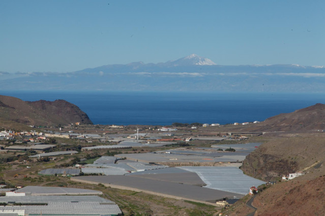 Archivo - Plantaciones agrarias en Canarias