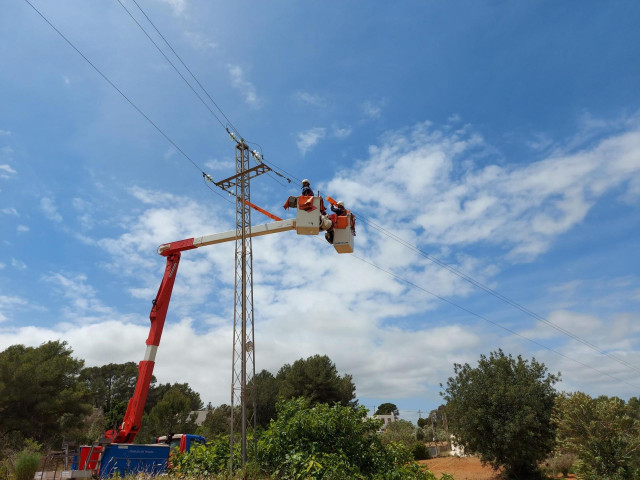 Trabajos de mantenimiento en la red de distribución de Endesa