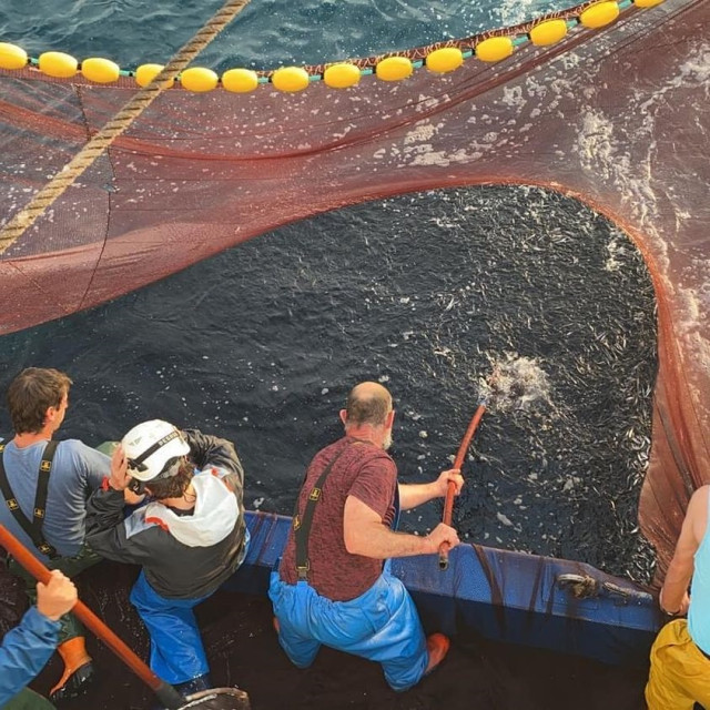 Archivo - Pesca de bonito.