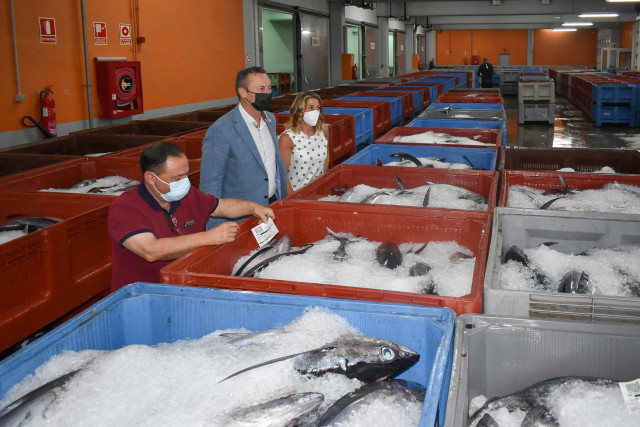 Visita al puerto de Santoña con motivo de la costera del bonito.