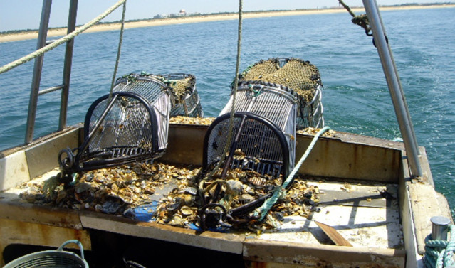 Archivo - Pesca, barcos pesqueros.
