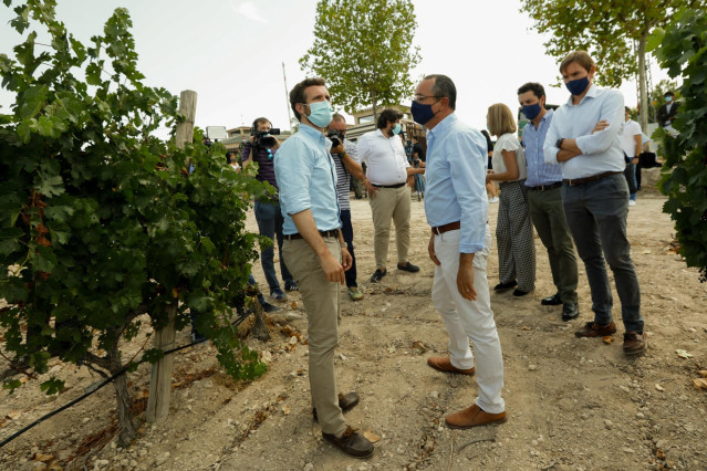 EL PRESIDENTE DEL PARTIDO POPULAR PABLO CASADO HA VISITADO LAS BODEGAS HIJOS DE JUAN GIL EN LA LOCALIDAD MURCIANA DE JUMILLA ACOMPAÑADO POR EL SECRETARIO GENERAL DEL PP TEODORO GARCIA EGEA Y EL PRESIDENTE DE LA REGION DE MURCIA FERNANDO LÓPEZ MIRAS
