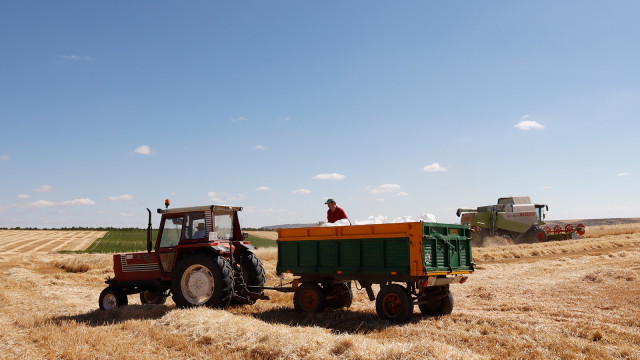 Archivo - Agricultor en el campo