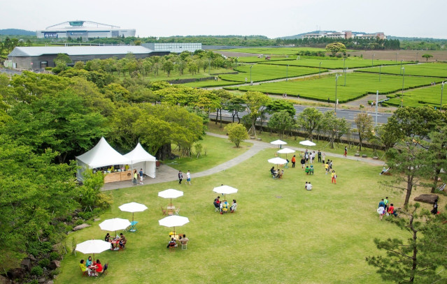 Isla de Jeju