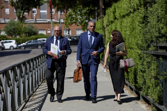 Archivo - (I-D) El diputado nacional Juan José Aizcorbe; el secretario general de Vox, Javier Ortega; y la vicesecretaria jurídica de la formación, Marta Castro, a su llegada al Tribunal Constitucional