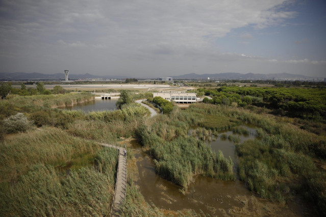 Vista general del espacio protegido de la Ricarda, en El Prat de Llobregat.