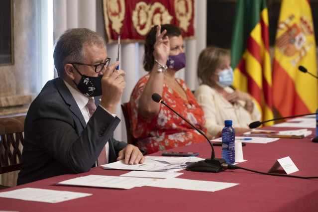 Pleno de la Diputación