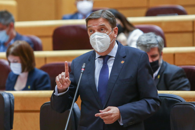 Archivo - El ministro de Agricultura, Pesca y Alimentación, Luis Planas, interviene en una sesión de control al Gobierno en el Senado