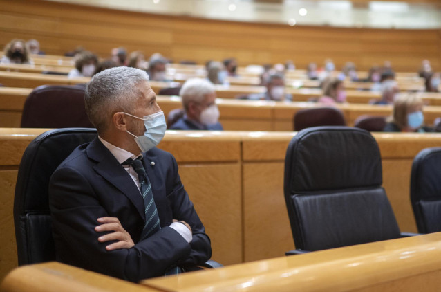 El ministro de Interior, Fernando Grande-Marlaska, durante el pleno del Senado