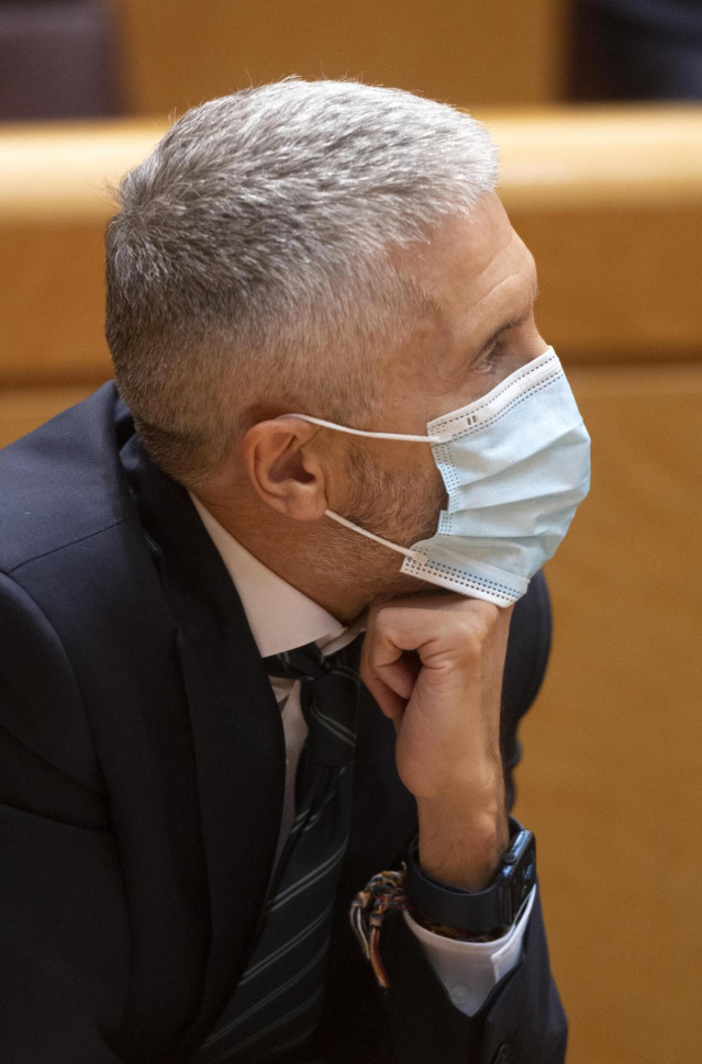 El ministro de Interior, Fernando Grande-Marlaska, durante una sesión parlamentaria