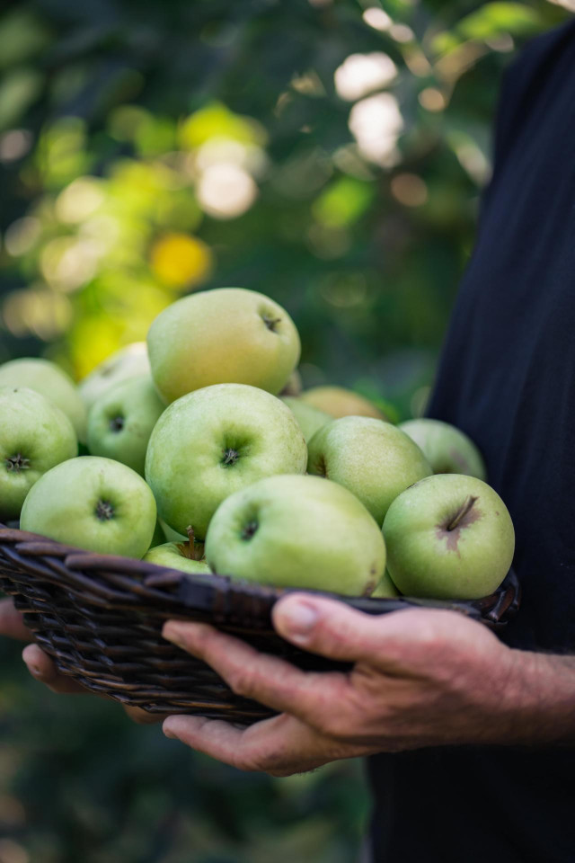 Manzanas