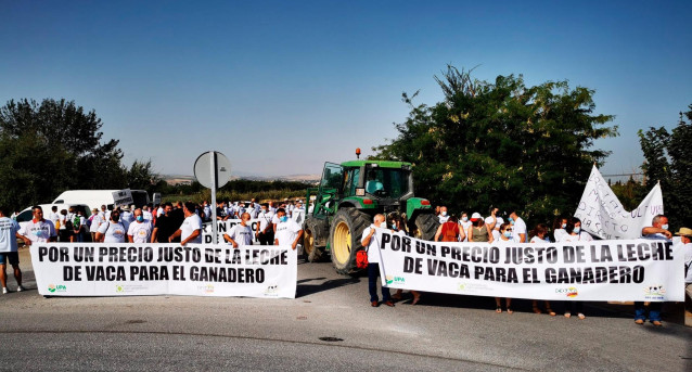 Manifestación de ganaderos por los precios insuficientes de la leche