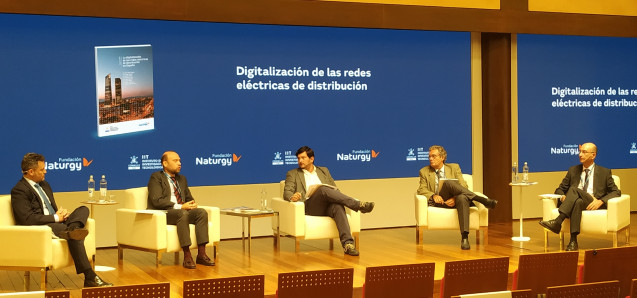 Imagen del webinar en el que se presentó el informe'La digitalización de las redes eléctricas de distribución en España'.