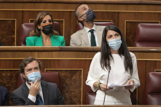 Varios diputados de Vox durante la sesión plenaria del Congreso