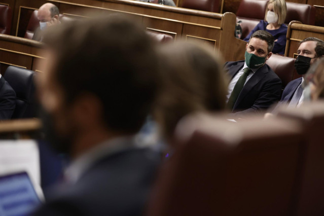 El líder de Vox, Santiago Abascal, en una sesión plenaria en el Congreso de los Diputados