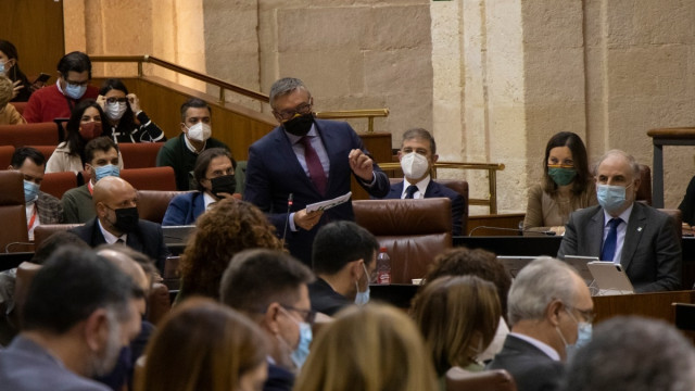El portavoz parlamentario de Vox en Andalucía, Manuel Gavira, en el Pleno de la Cámara.