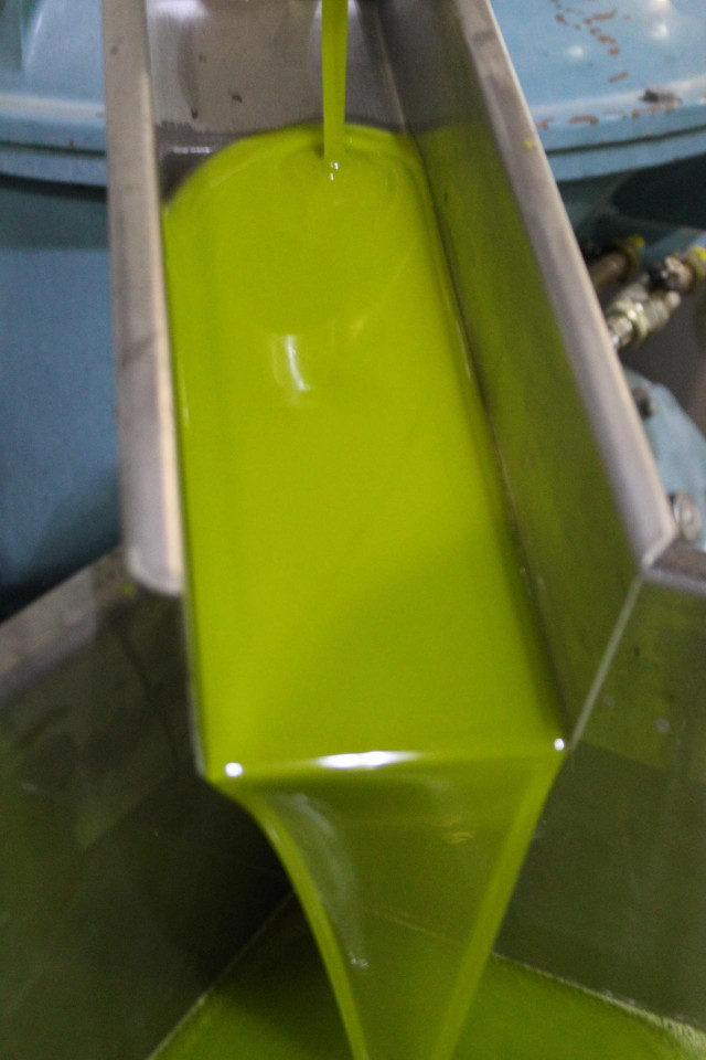 Producción de aceite de oliva.