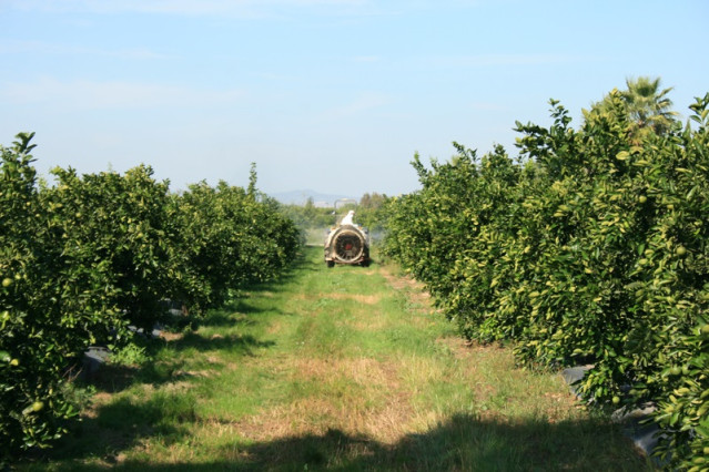 Archivo - Agricultor en un campo