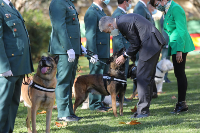 El ministro del Interior, Fernando Grande-Marlaska, junto a la directora de la Guardia Civil, María Gámez, en la entrega de condecoraciones al mérito canino