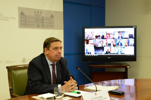 El ministro de Agricultura, Pesca y Alimentación, Luis Planas