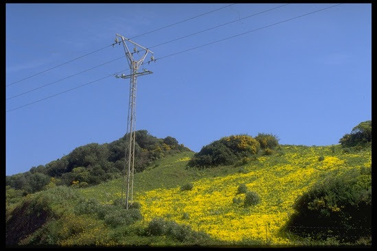 Archivo - Tendido eléctrico.